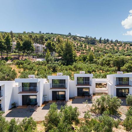 Olea Villas By Halu!, Cozy Villa In Nikiti 拉戈曼德拉 外观 照片
