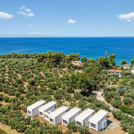Olea Villas By Halu!, Cozy Villa In Nikiti 拉戈曼德拉 外观 照片