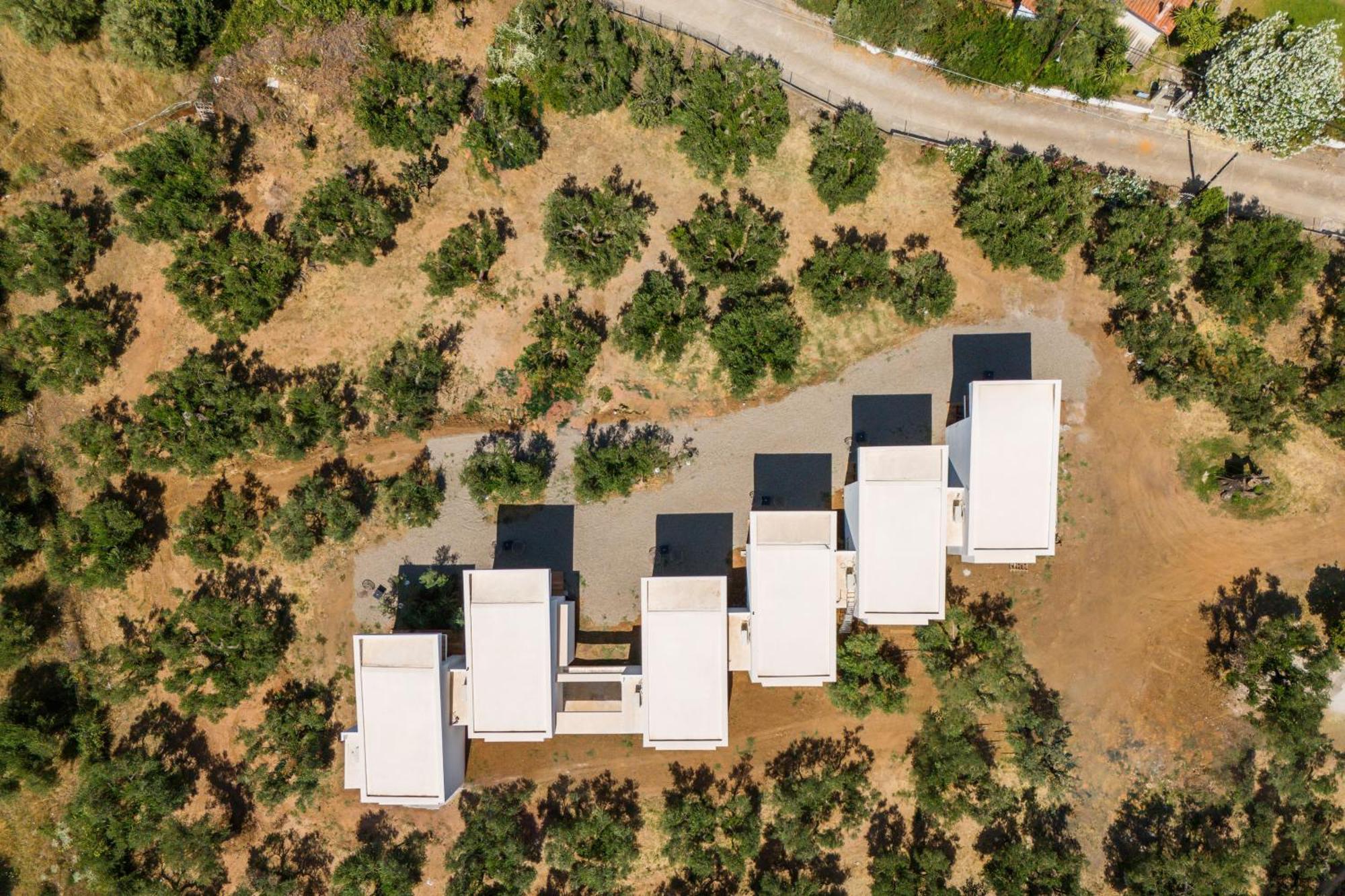 Olea Villas By Halu!, Cozy Villa In Nikiti 拉戈曼德拉 外观 照片