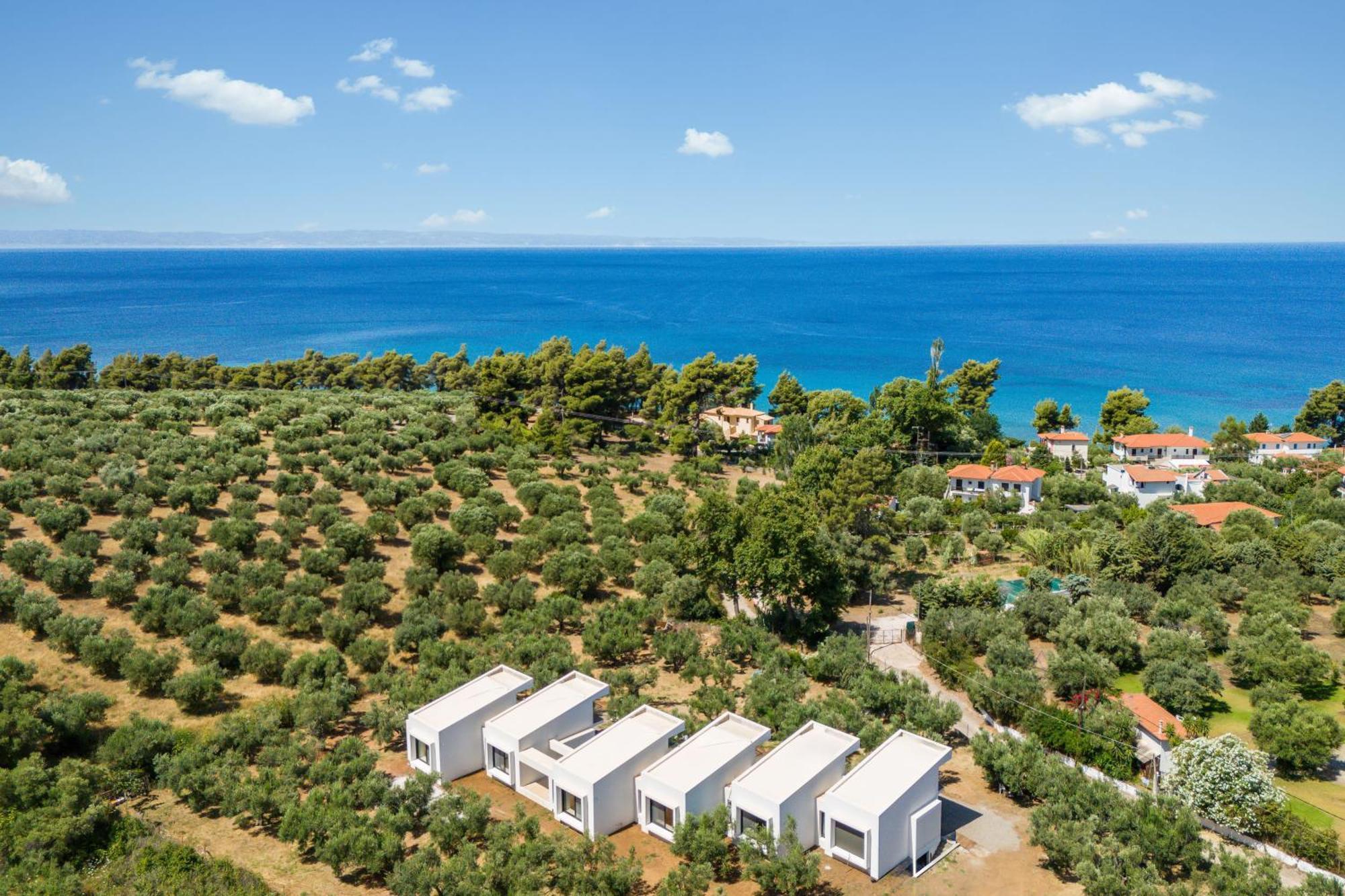 Olea Villas By Halu!, Cozy Villa In Nikiti 拉戈曼德拉 外观 照片