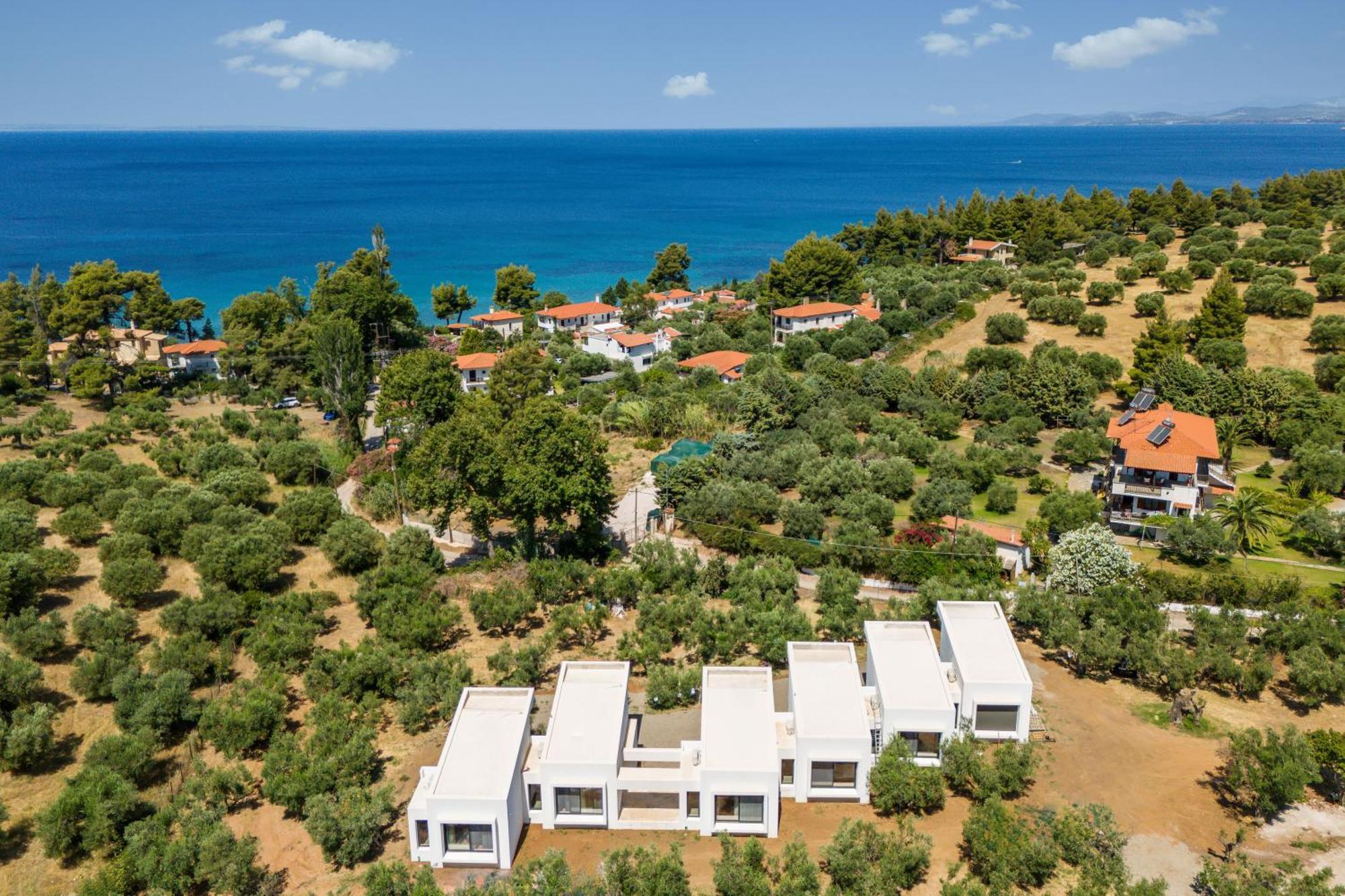 Olea Villas By Halu!, Cozy Villa In Nikiti 拉戈曼德拉 外观 照片