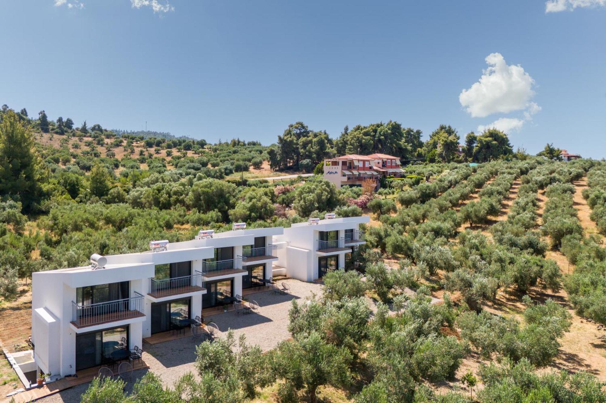 Olea Villas By Halu!, Cozy Villa In Nikiti 拉戈曼德拉 外观 照片