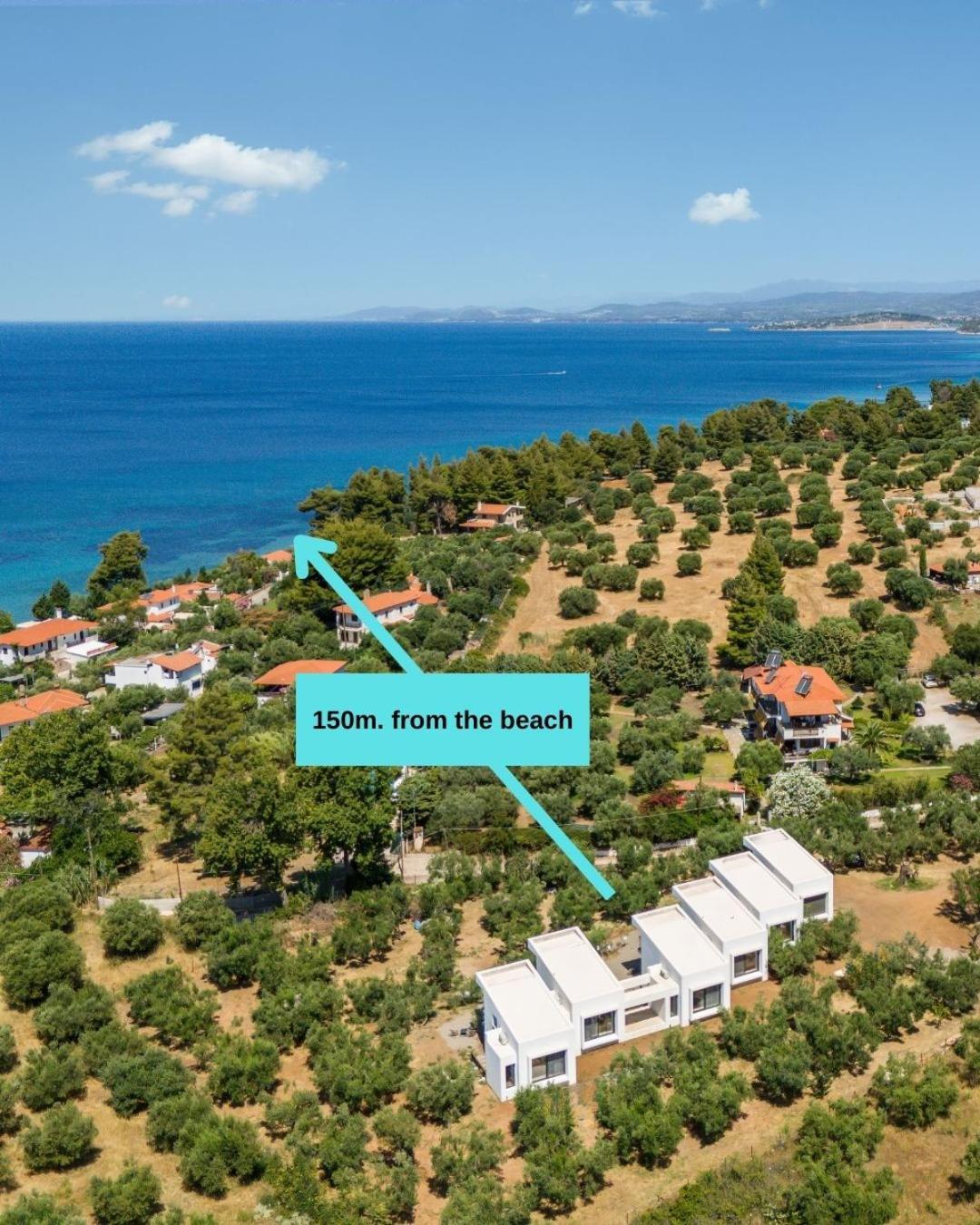 Olea Villas By Halu!, Cozy Villa In Nikiti 拉戈曼德拉 外观 照片